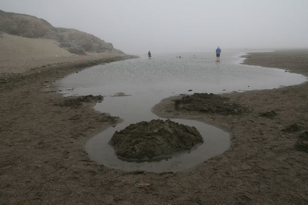 Foggy day at the beach, Sonoma Coast, California thumbnail