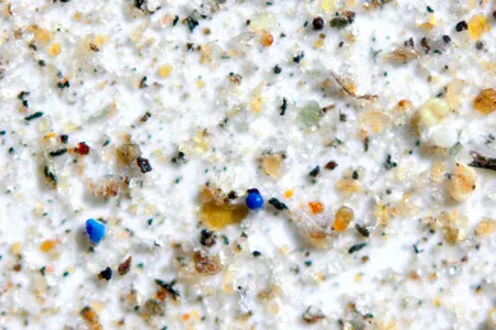 Blue pieces of microplastic viewed under a microscope alongside dust, minerals and charcoal collected from a park in Idaho. 