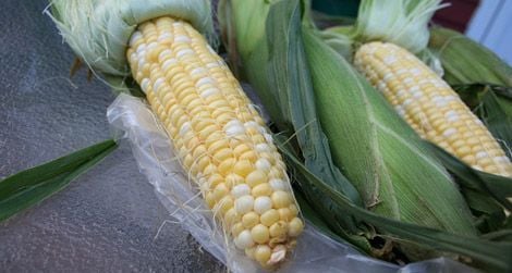 What to do with the corn from your local market?