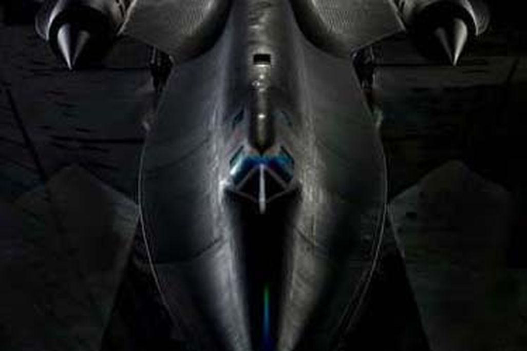 blackbird