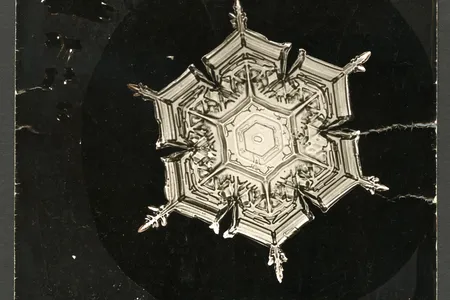 A stellar snowflake photomicrographed by Wilson Bentley, circa 1890