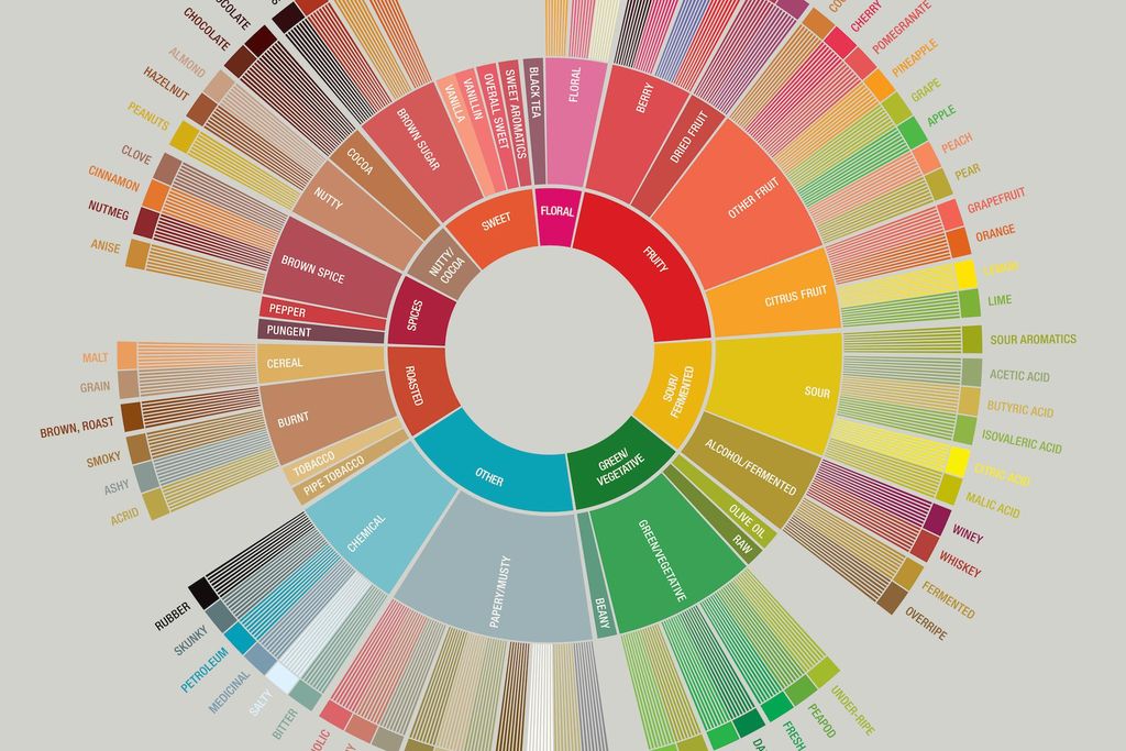 SCAA Flavor Wheel
