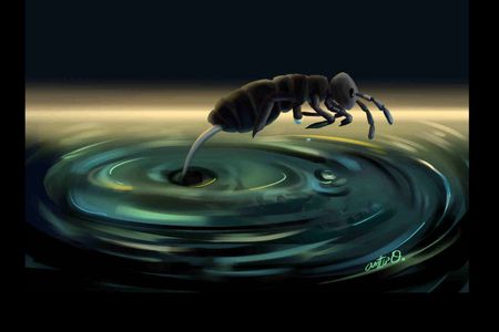 An illustration of a springtail jumping