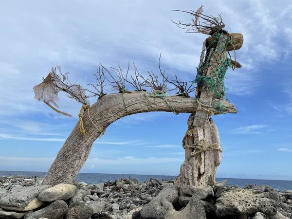 Driftwood art in south of Bonaire thumbnail
