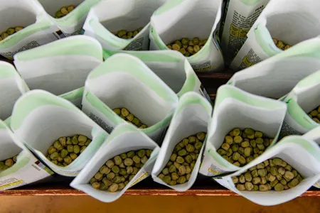 Paper packets are filled with pea seeds.