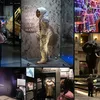Collage of museum scenes showing visitors viewing exhibits, including an astronaut display, an elephant, and artworks.