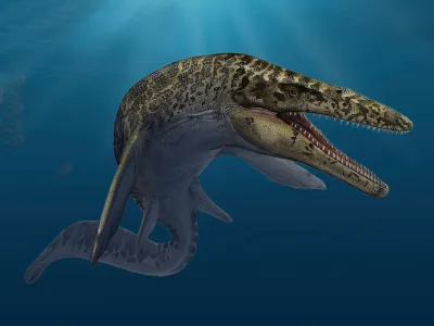 Massive Mosasaurs May Have Evolved More Than Once image