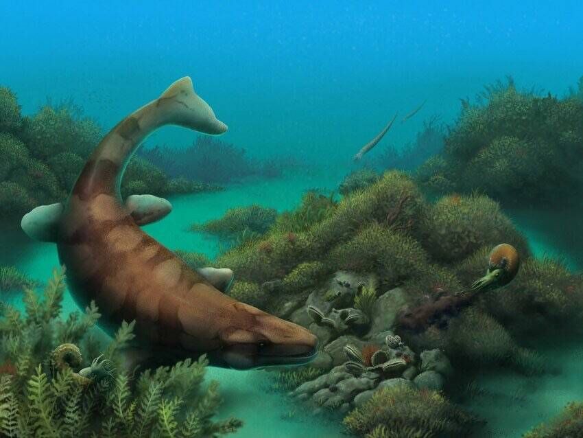 Illustration of lizard-like creature swimming under water