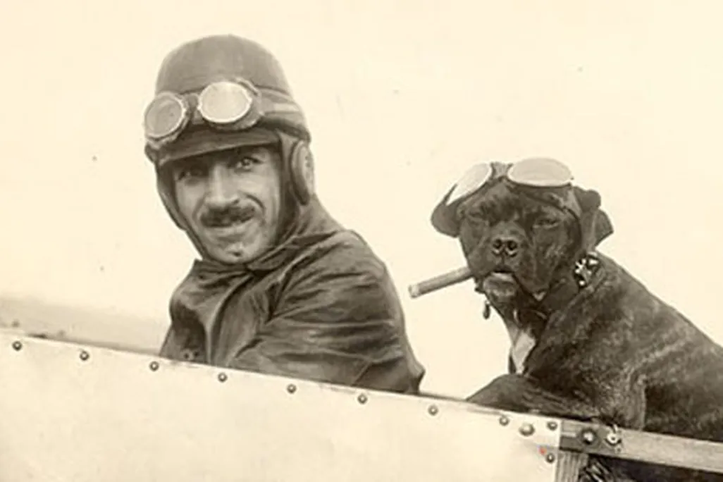 canine co-pilot monoplane