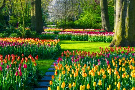 The Keukenhof Floral Park in Lisse, The Netherlands.