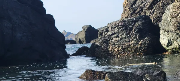 Pacific coast and tide pools thumbnail