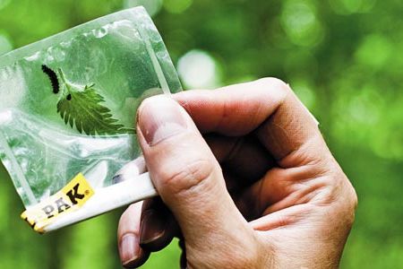 "Now it's off to the races," botanist Dave Erickson says of a project to barcode 250 species of plant life on Plummers Island.