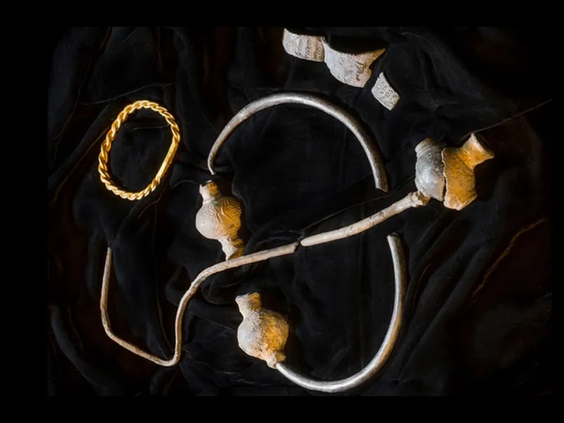 Viking Treasures 