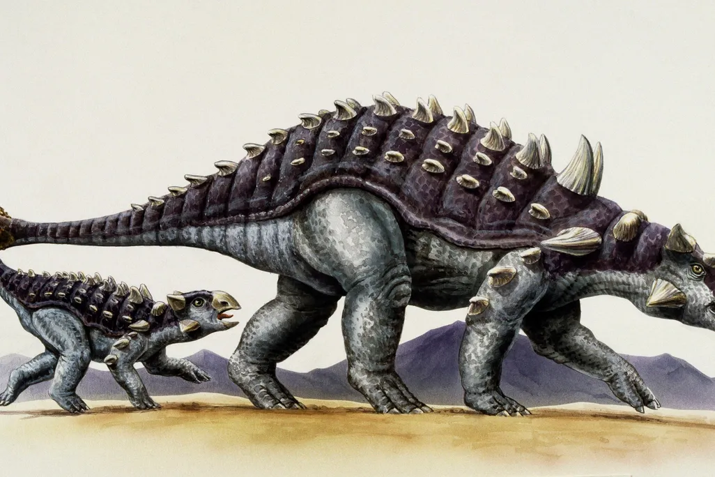 Ankylosaurs