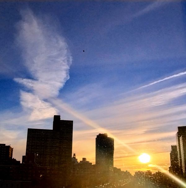 Athena Greets the Morning Sun Over BrooklynI thumbnail