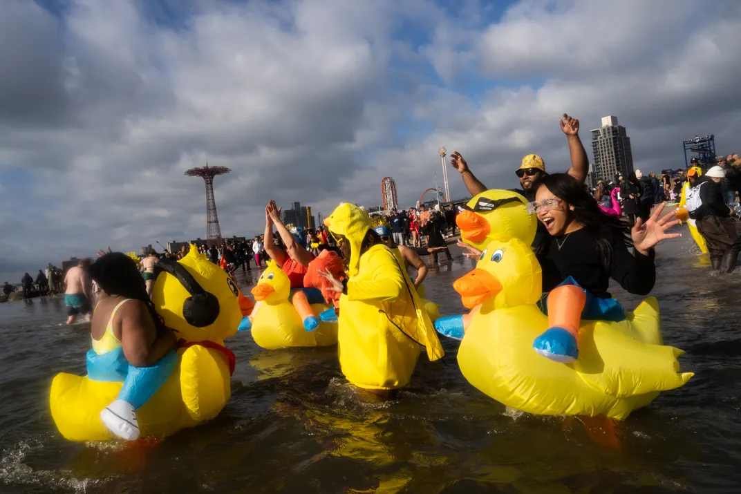 people walk into a body of water wearing large inflatable ducks