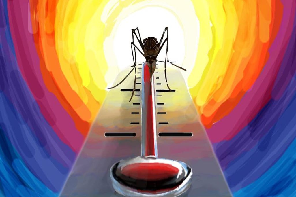 mosquito temperature illustration