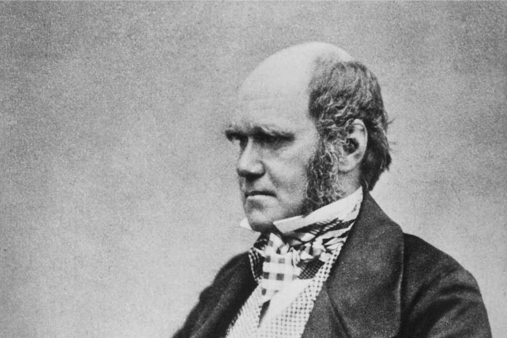 A black and white photograph of Darwin, seated and turned slightly away from the viewer, looking serious with bushy eyebrows and in a waistcoat and checkered pants