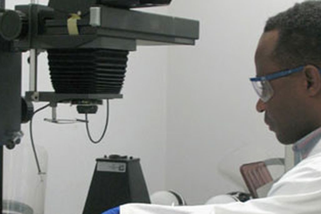 The African American DNA Roots Project
