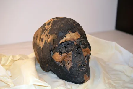The repatriated mummy skull