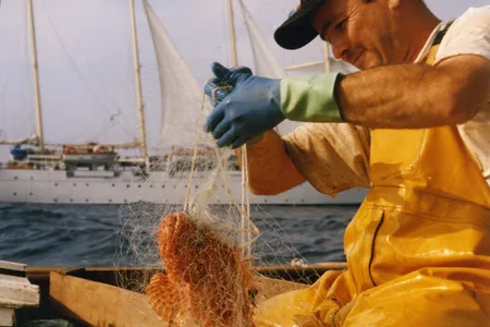 The Boquera brothers (above, Fèlix) are the fourth generation in their family to work the sea off the Costa Brava of Catalonia.