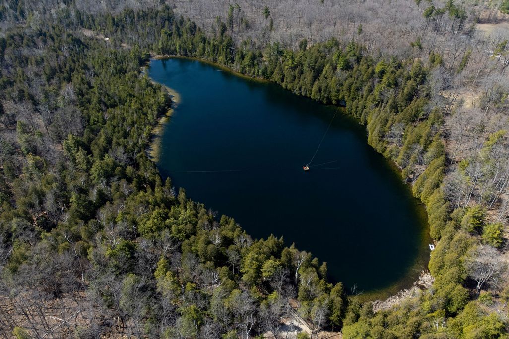 a lake surrounded by trees