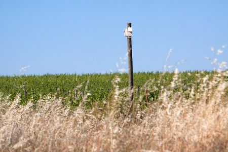 A bat box stands over the Herdade do Esporão vineyard in Portugal.