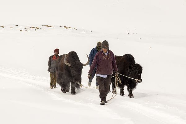 on the snow thumbnail