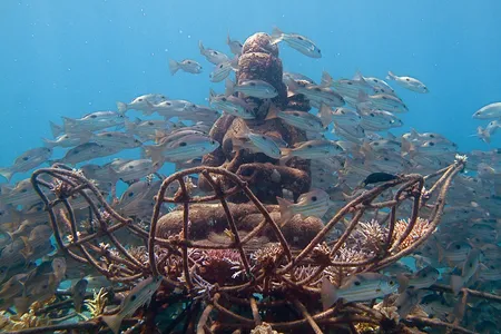 Under the waters in Pemuteran, in Bali, this structure might be helping restore a coral reef.
