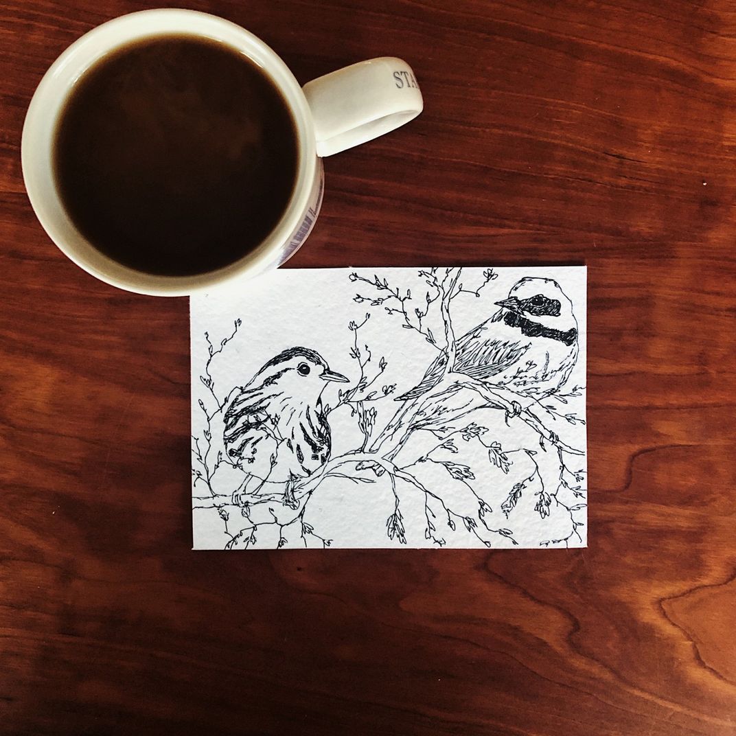 Black pen illustration of two birds on a branch, next to a cup of coffee, on a wooden table