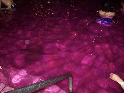 Visitors to a hot springs resort in Japan enjoy a wine bath. 