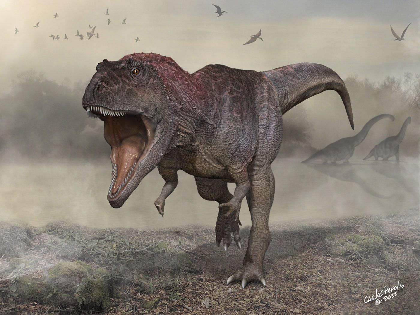 Paleontologists Uncover New Dinosaur With Tiny Arms Like T. Rex