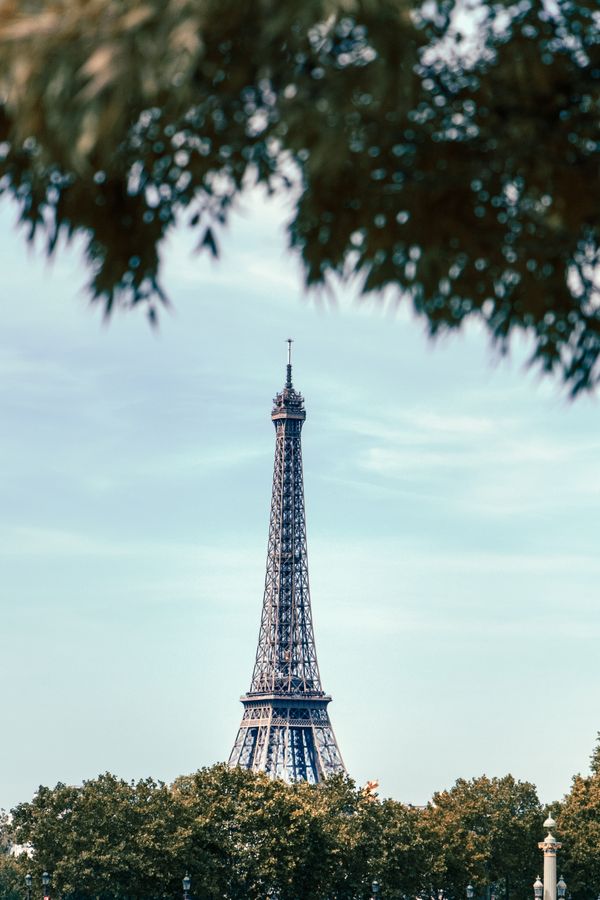 Eiffel Tower through the trees thumbnail