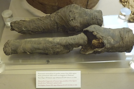 Queen Nefertari's knees