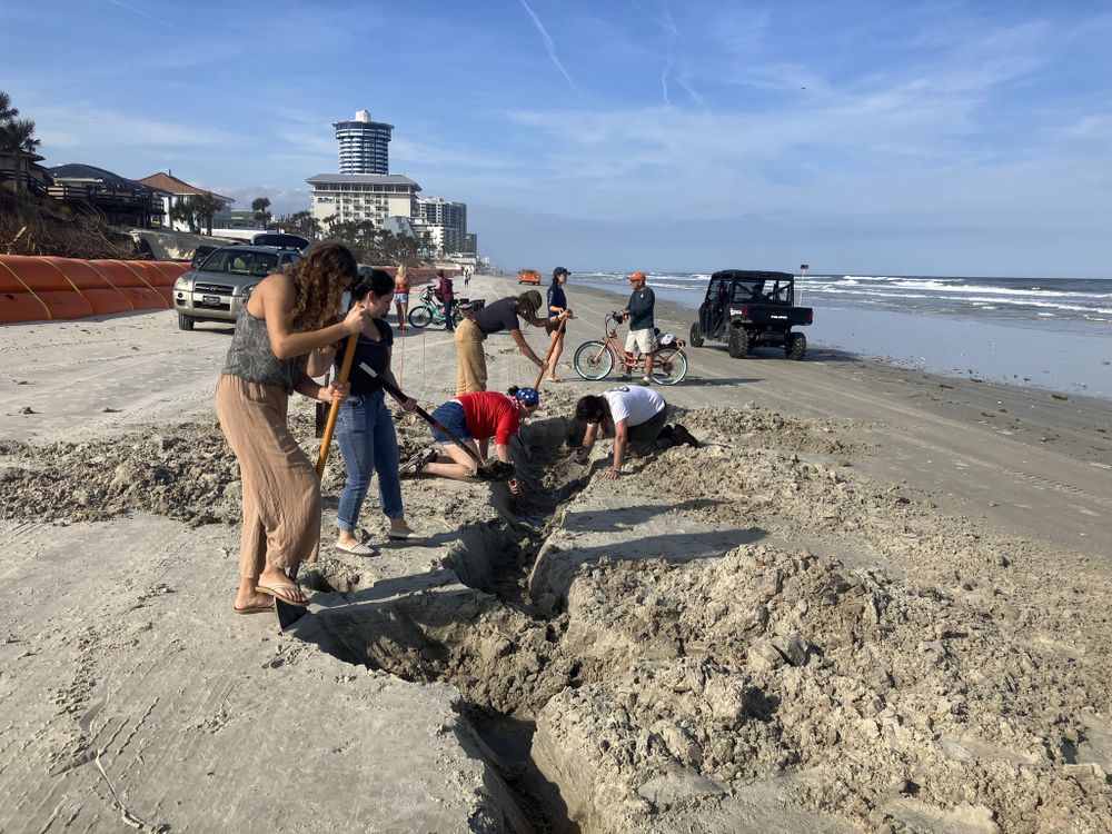 Volunteers and archaeologists digging in the sand