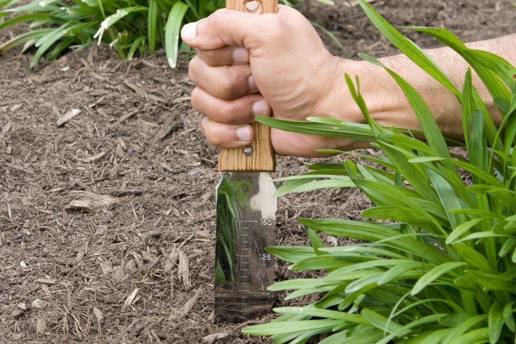Garden Knife