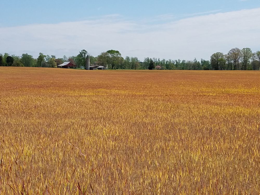 Winter Crops Smithsonian Photo Contest Smithsonian Magazine