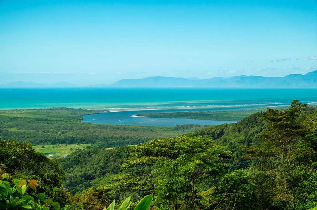 Daintree River and Rainforest