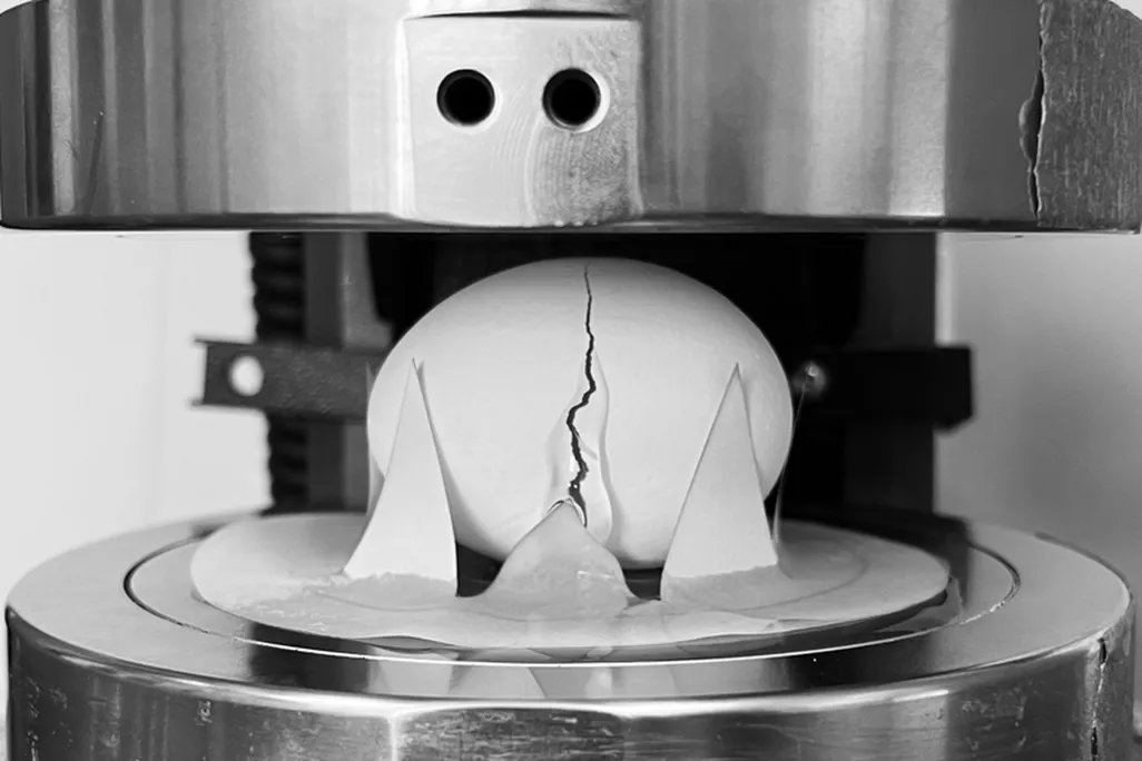an egg in a press being cracked