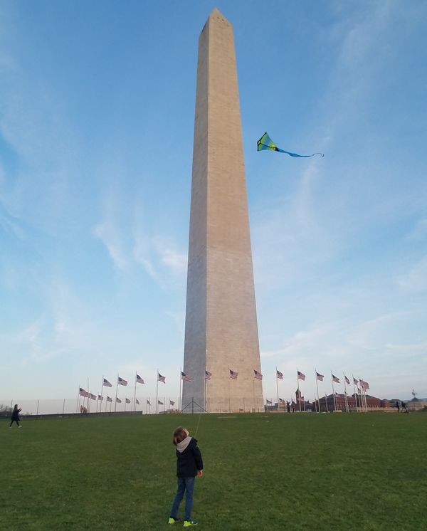 A Kid & his Kite on the National Mall thumbnail