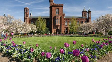 Shake off winter with a scavenger hunt in the Smithsonian Gardens.