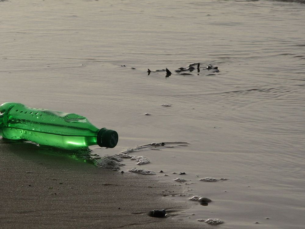 A lone green plastic bottle sits discarded near a body of water