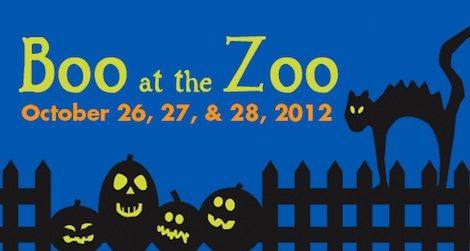 Spooky fun for everyone at the Zoo