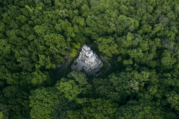 Temple lost in sea of green thumbnail