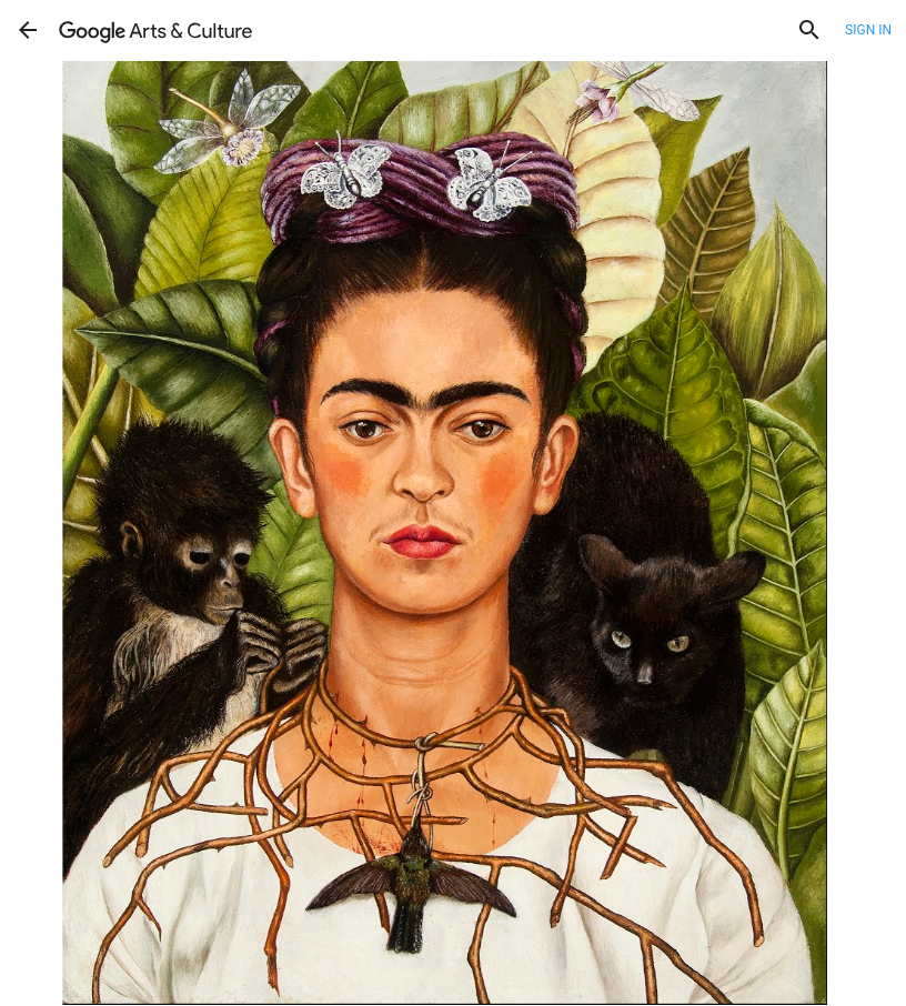 Explore Google's Sweeping Retrospective on Frida Kahlo's Life and Legacy, Smart News