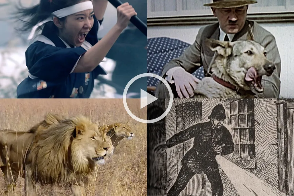 Top-10-Videos-2015-Graphic.jpg