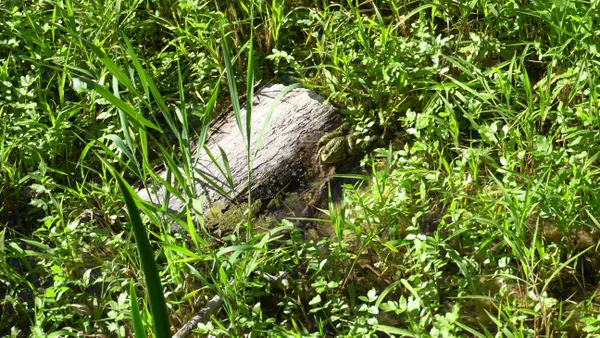 Found me yet thumbnail