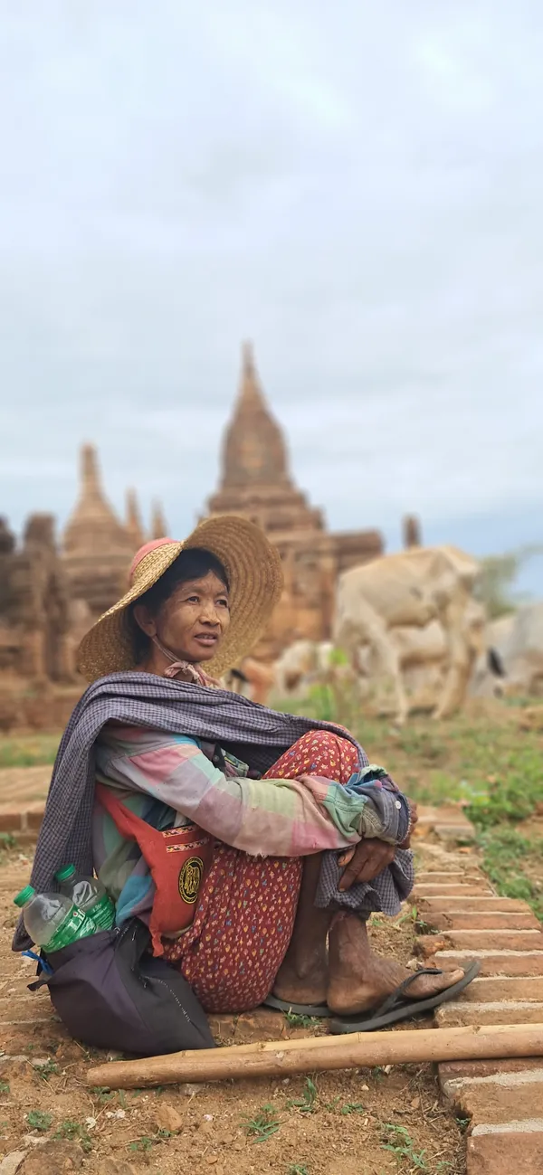 Goat herder in Myanmar thumbnail