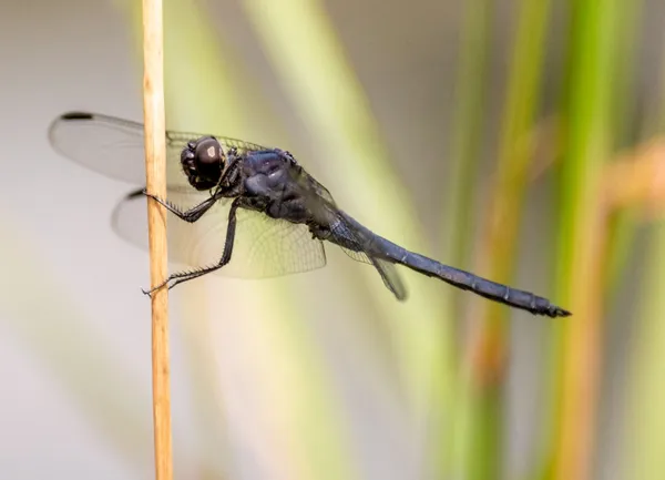 A Tight Grip thumbnail