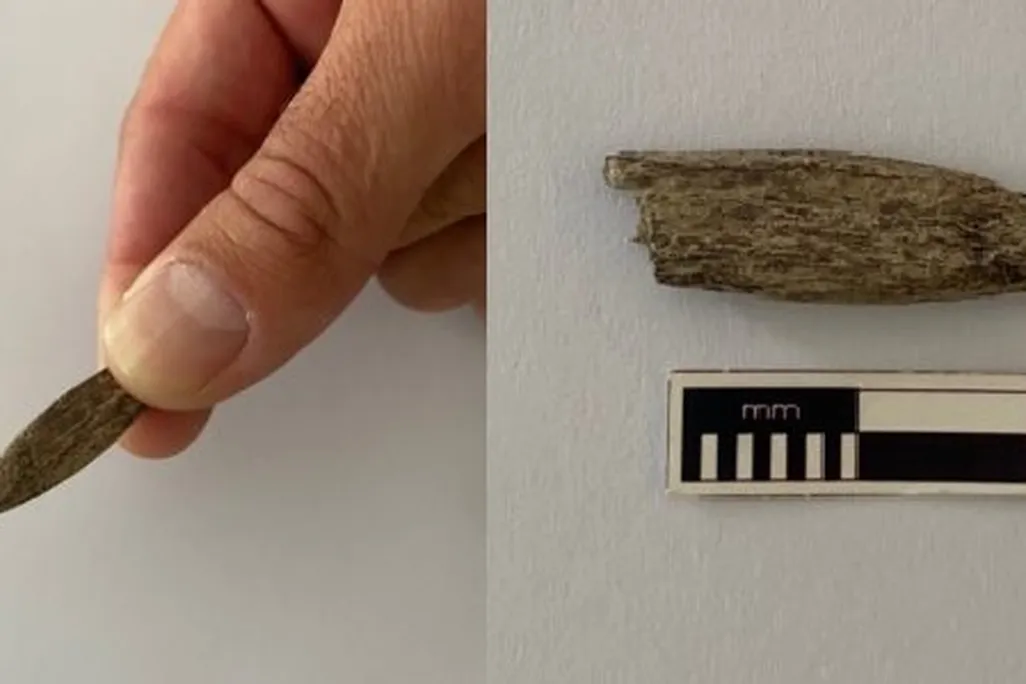 Bone point